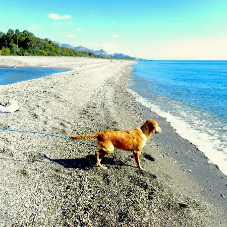 Casa La Vigna 度假居 Puntalazzo